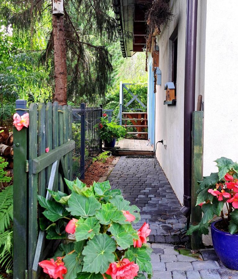 Apartament Drozdzikowka Żywiec Екстериор снимка