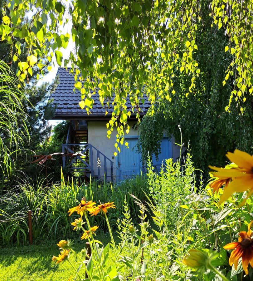 Apartament Drozdzikowka Żywiec Екстериор снимка