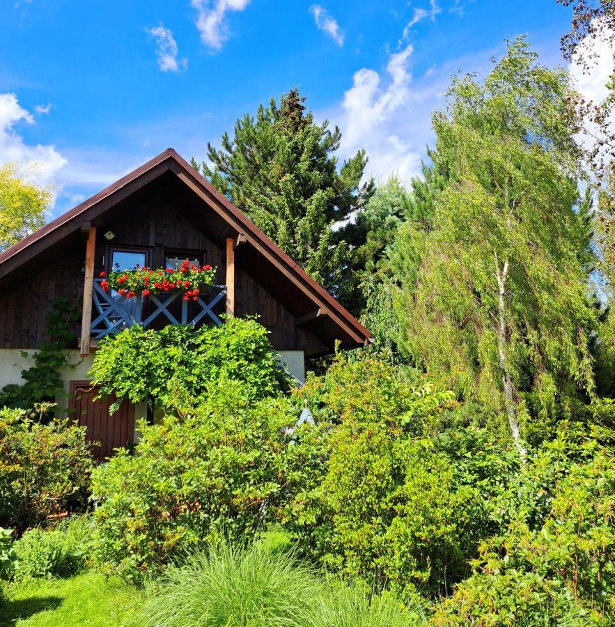 Apartament Drozdzikowka Żywiec Екстериор снимка